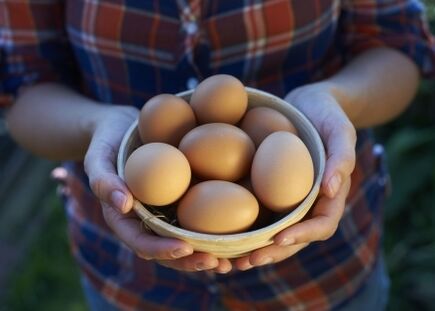 avantages des œufs de poule